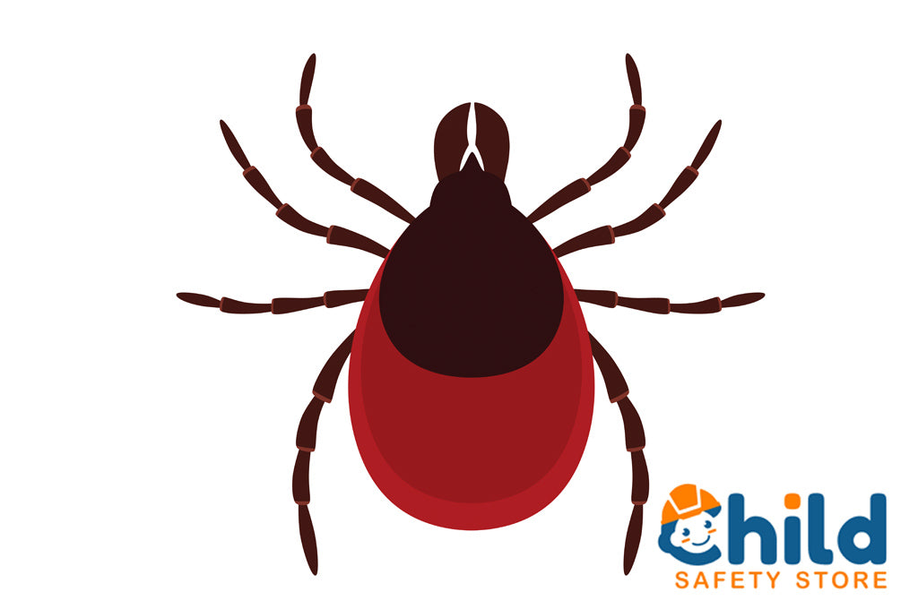 Hiking and Tick Safety